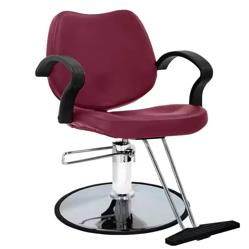 Barber Chair Hair Salon Chair with Hydraulic Pump 360 Degrees Swivel